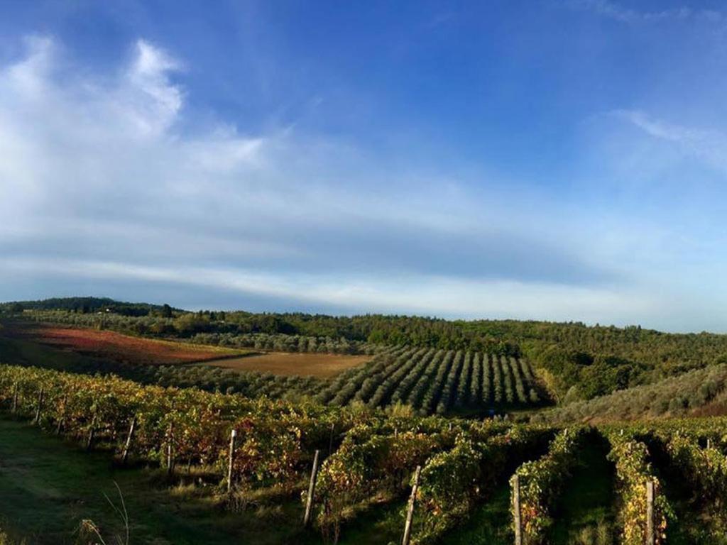 Podere La Casetta - Casa Di Campagna Montaione Bagian luar foto