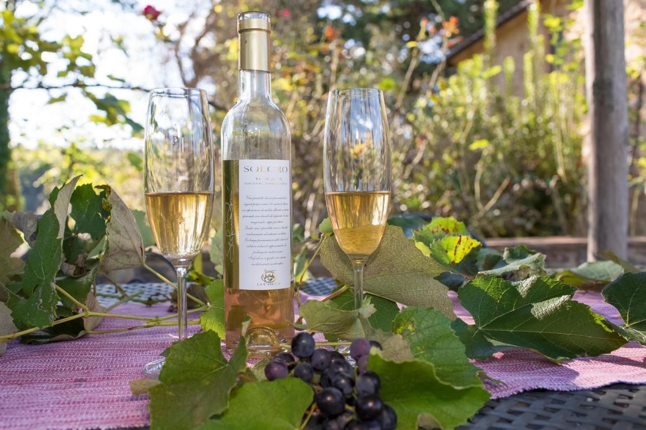 Podere La Casetta - Casa Di Campagna Montaione Bagian luar foto