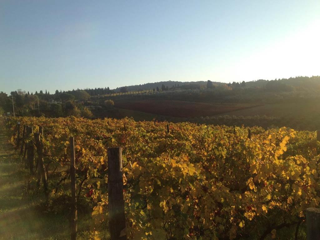 Podere La Casetta - Casa Di Campagna Montaione Bagian luar foto
